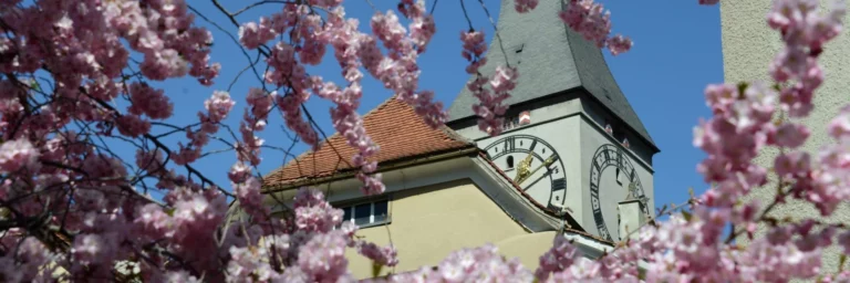 20210330 4954 1920×640 Kirche