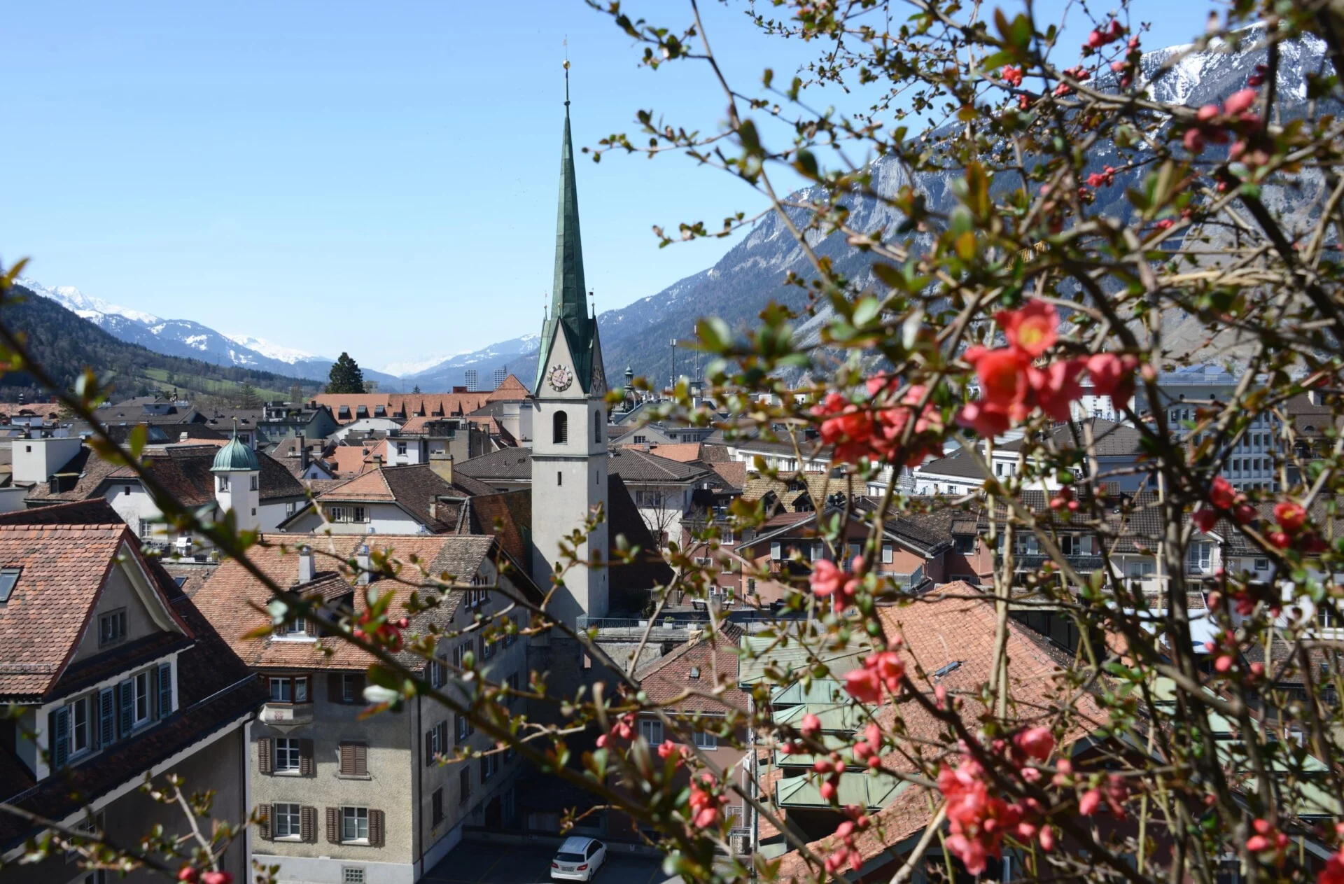 Regulakirche Regulakirche Osten Frühling Rote Blüten