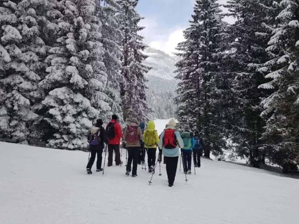 Wandergruppe ältere Menschen im Winter