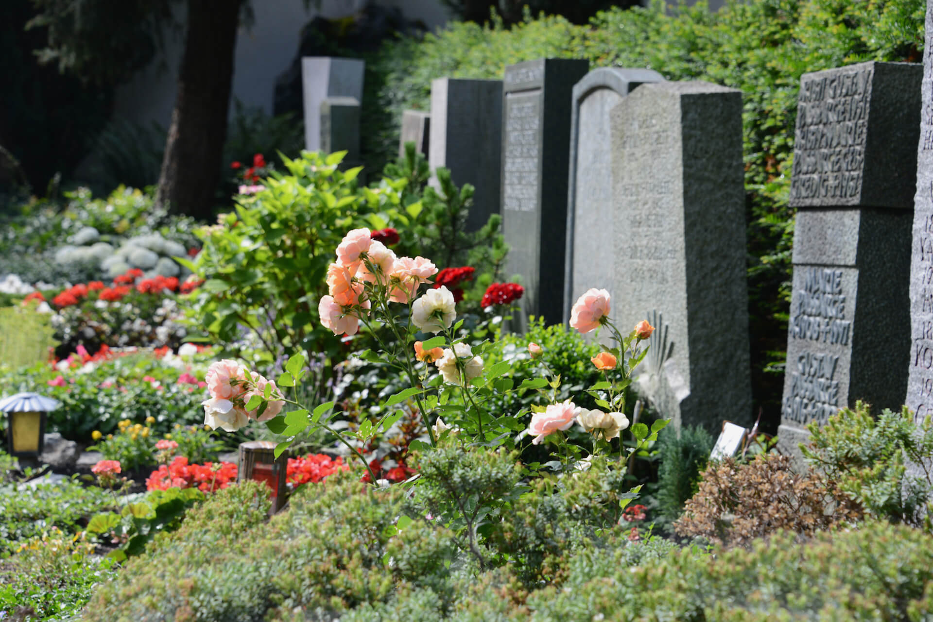 Friedhof Fürstenwald Friedhof Fürstenwald